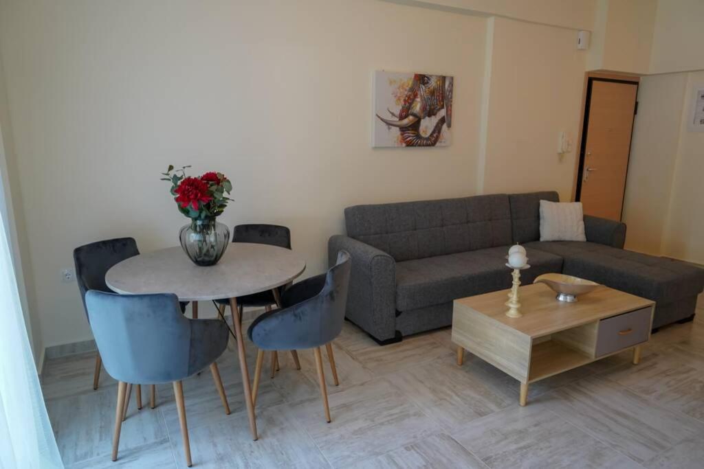 Modern Apartment In The City Center Ioannina Ngoại thất bức ảnh