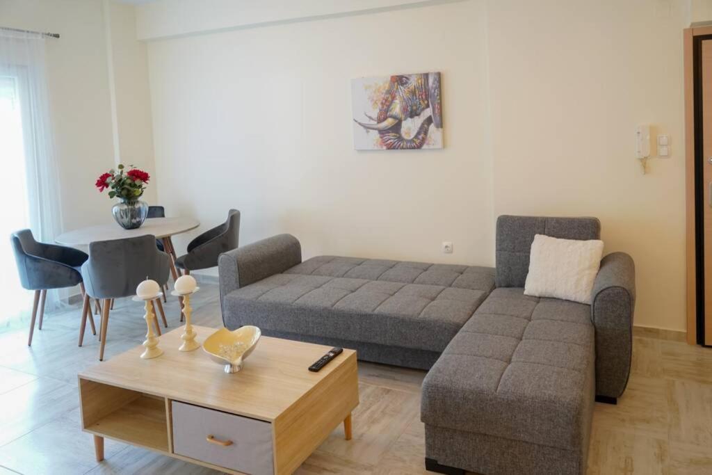 Modern Apartment In The City Center Ioannina Ngoại thất bức ảnh